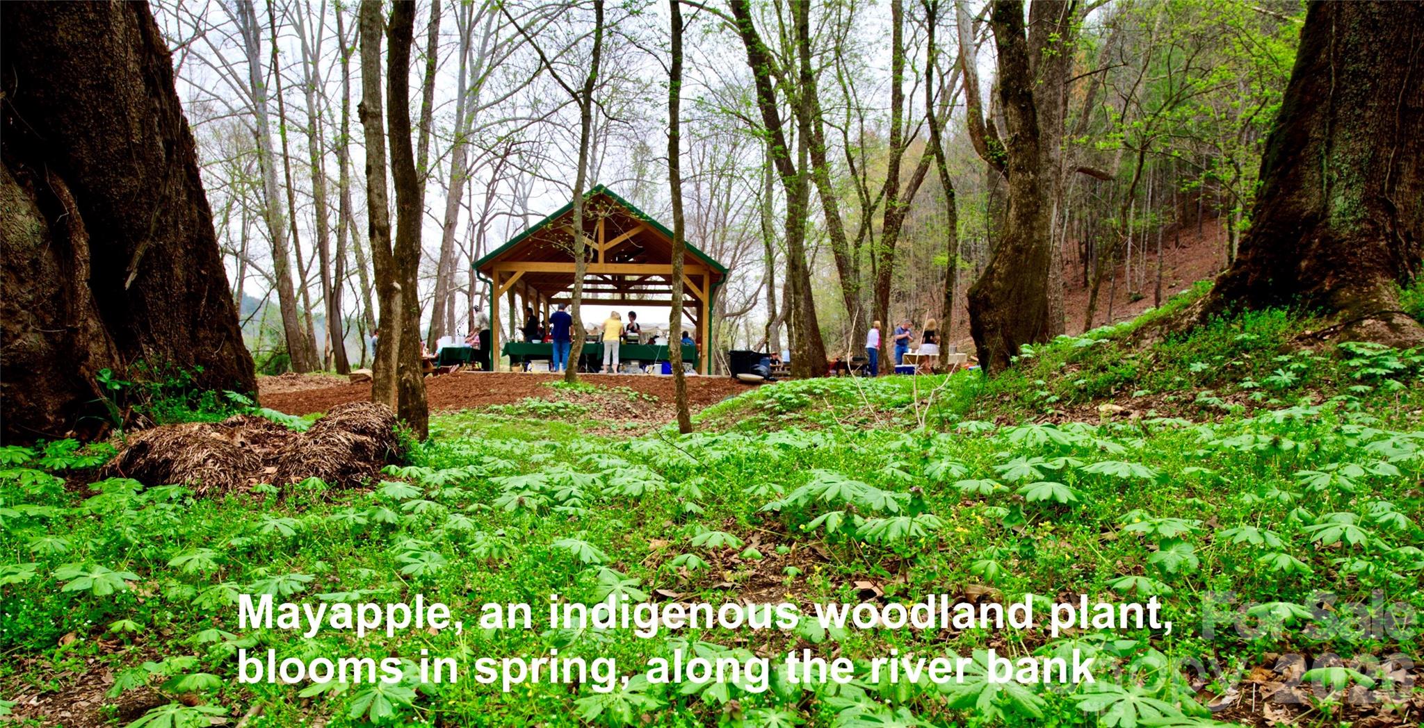 6129 Painted Ridge Trail Lot 739