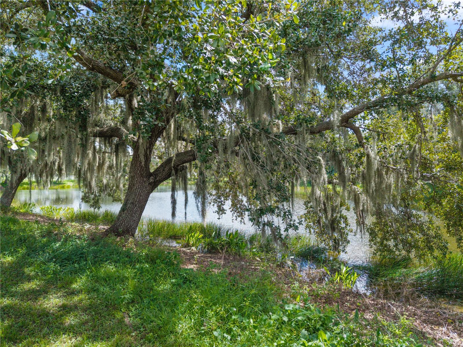 4008 Kingsfield Drive