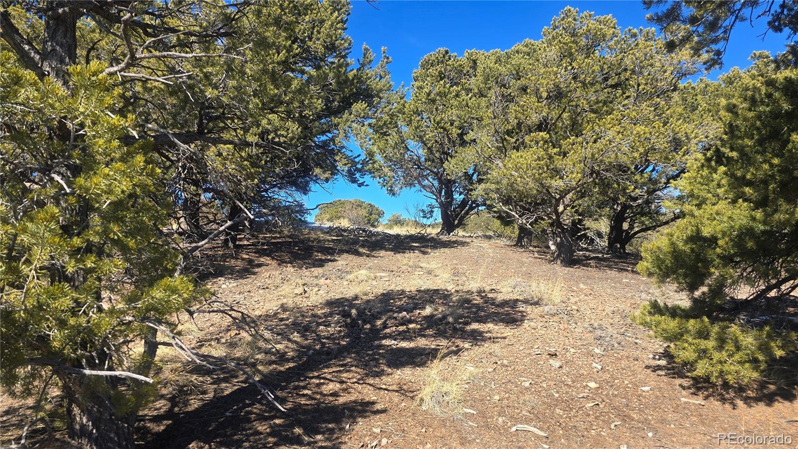 Lot 7527 Mcgillicuddy Road