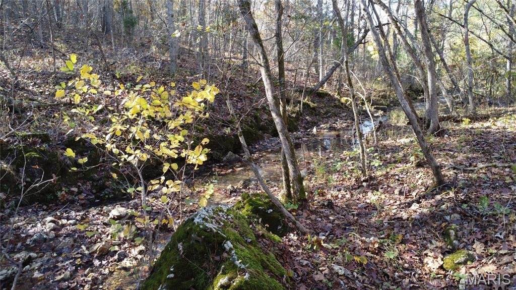 10256 Christina Trail