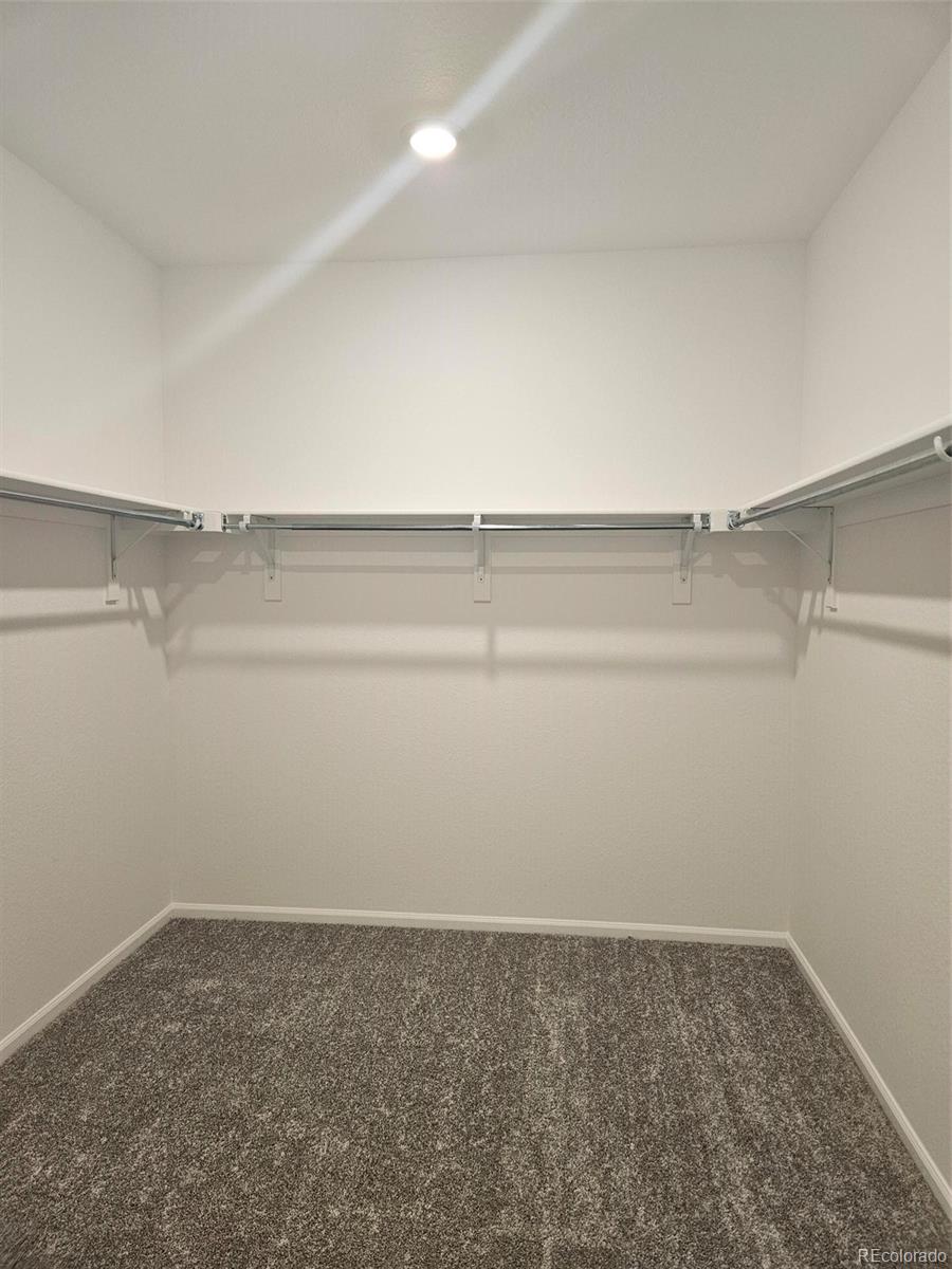 418 Grey Rock Street