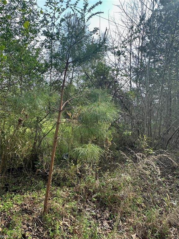 .18AC Clifton Street
