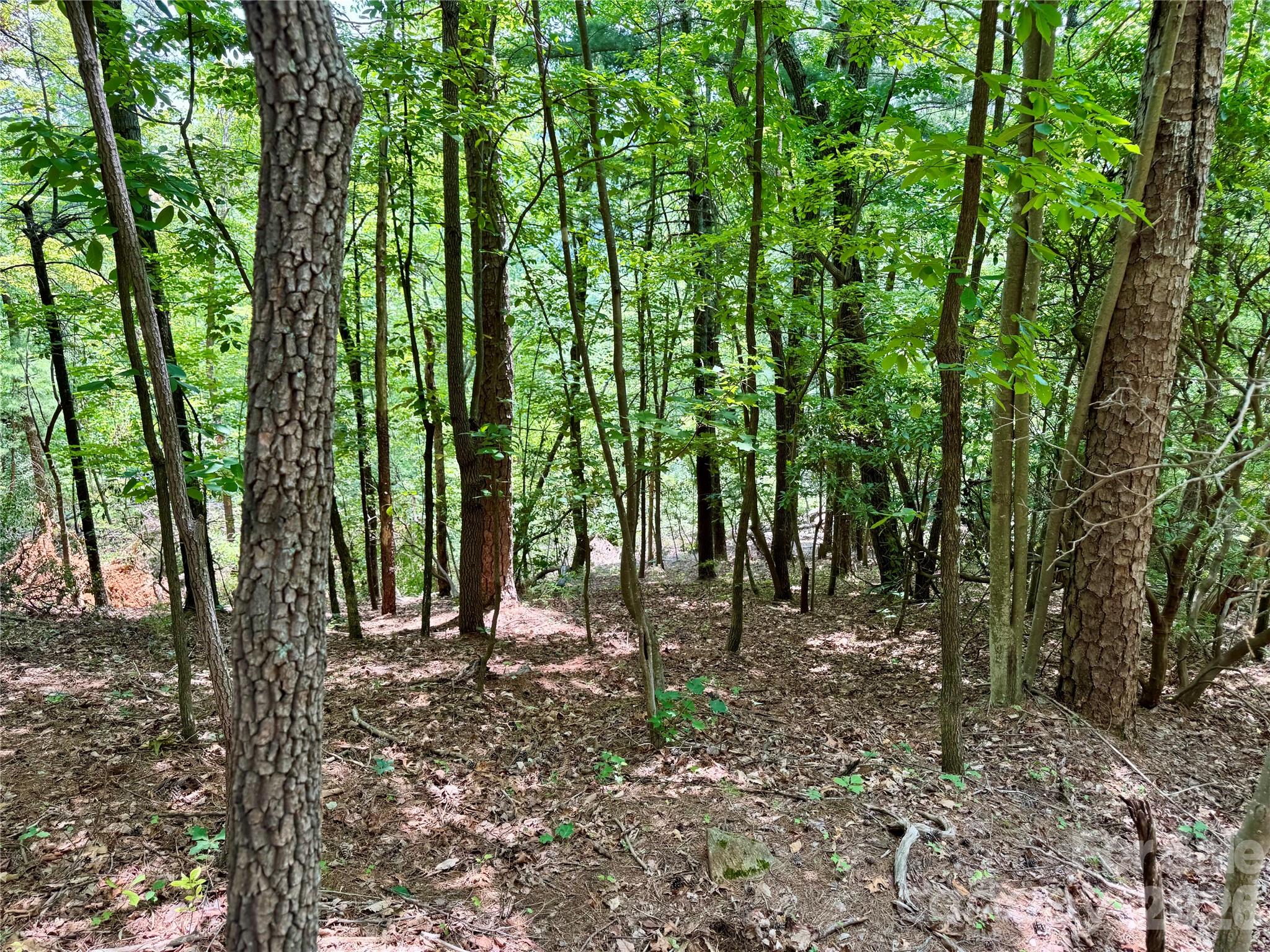35+ acres - Lot 23 Bear Track Lane 23