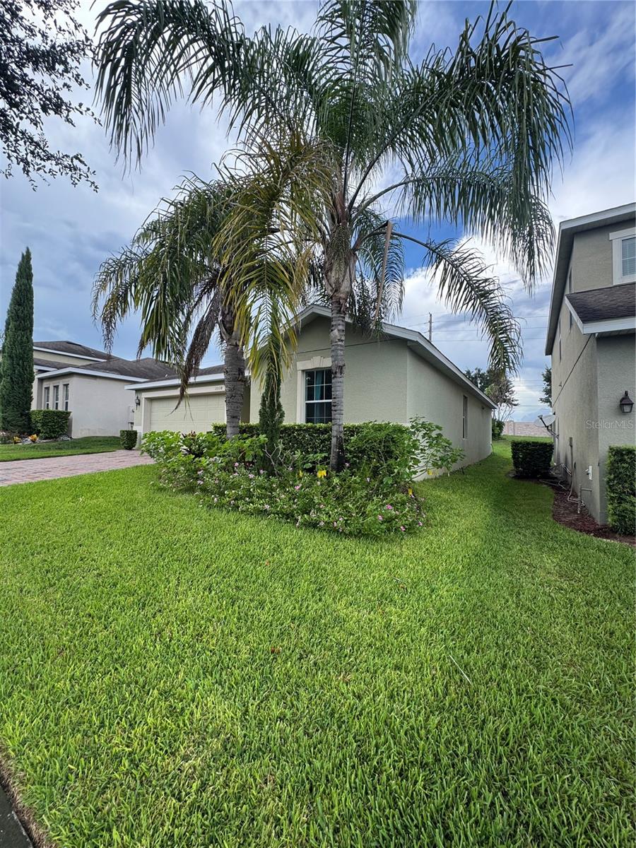 3538 Heart Pine Loop