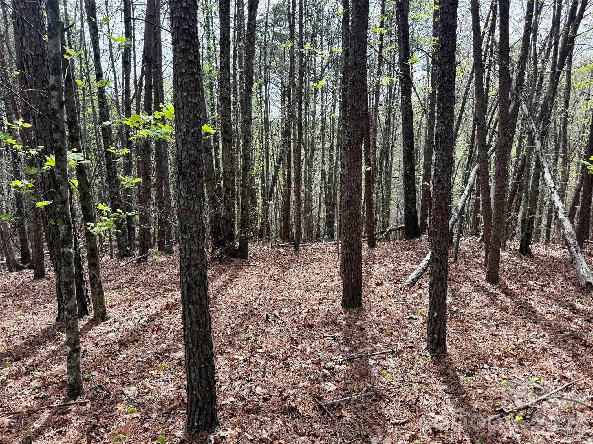 Lot 488 Bella Vista Way 488