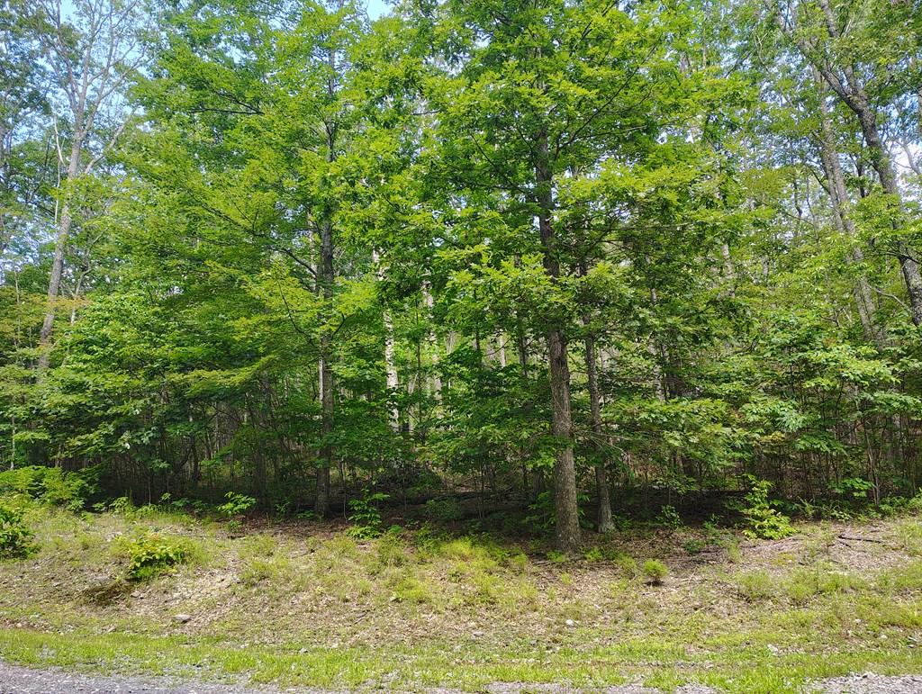 MAY I INTRODUCE YOU TO 56-A RIDGETOP LANE? Nestled in the mountains of Tazewell Va, this property offers 9.229 +/- acres to build your dream home or vacation get-a-way. Enjoy the serene sounds and maybe some wildlife along the way. Property is located in a gated community, offering you privacy and security. Call today for your private tour.