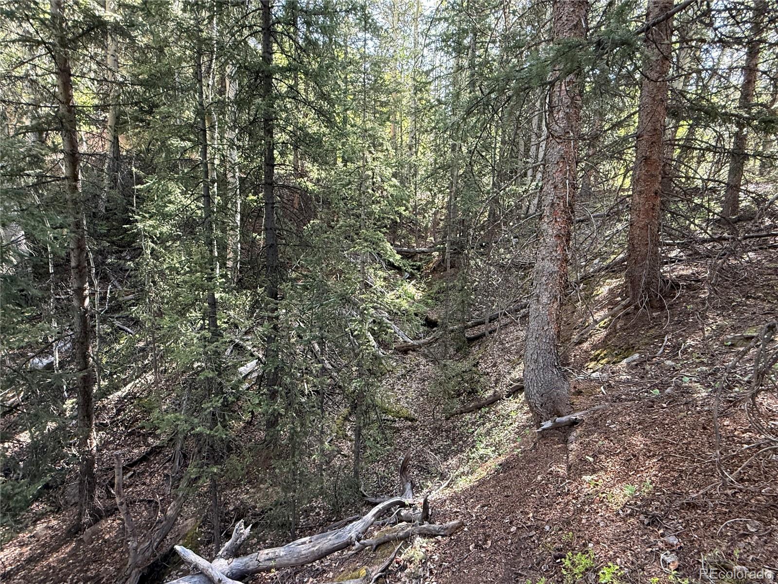 Lot 6843 Ryland Road