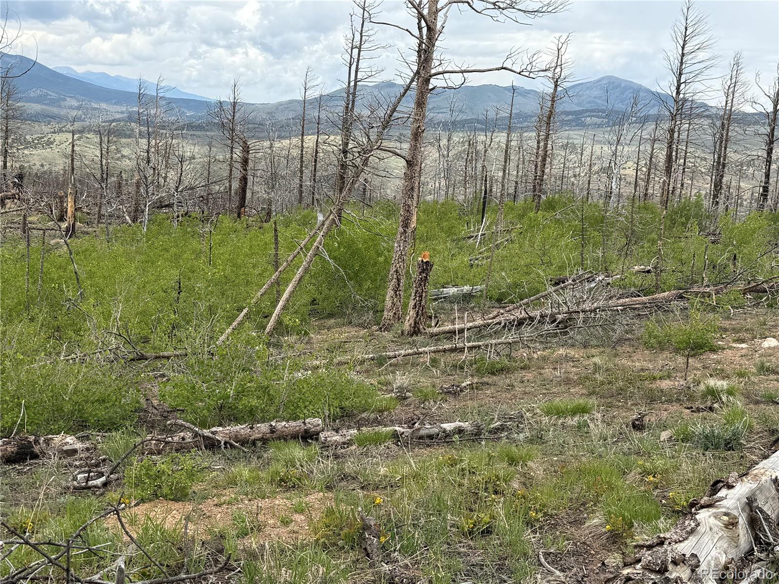 Lot 383 Soubry Place