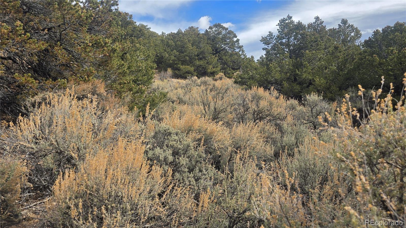 Lot 1628 Hidalgo Road