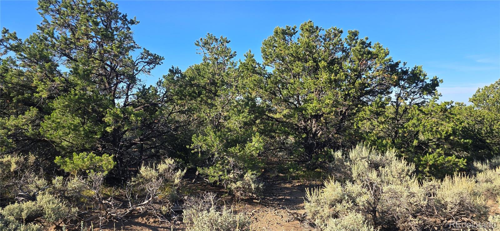 Lot 1362 Dunn Road