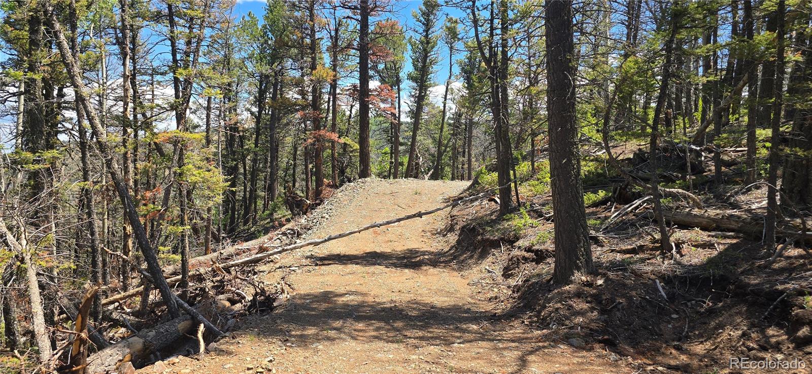 Lot 5546 Balleroy Road