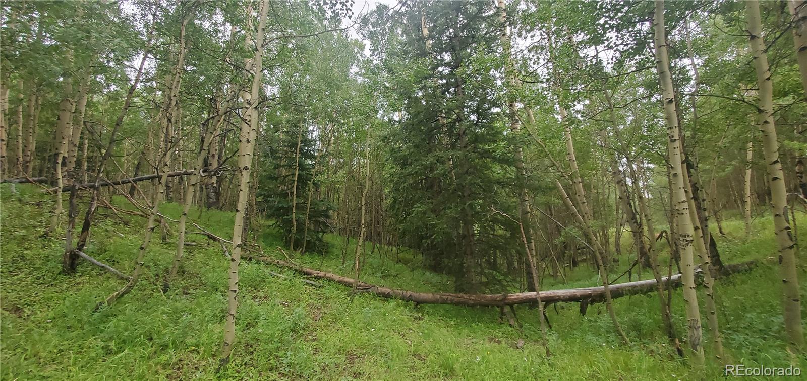 Lot 6882 Donna Road