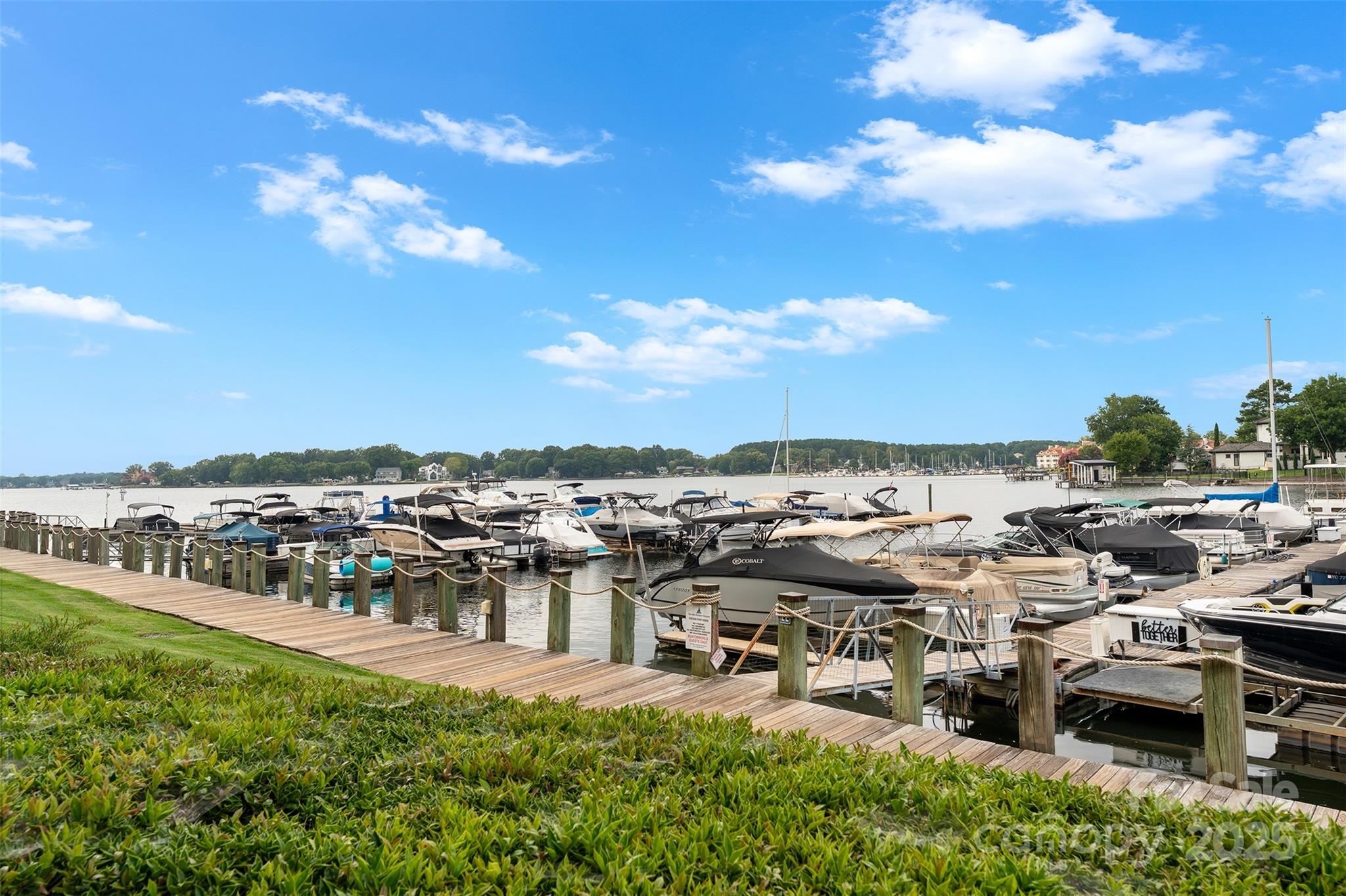 18647 Vineyard Point Lane