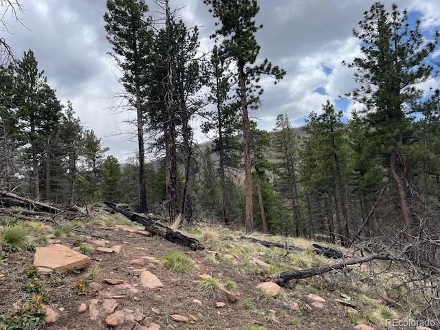 Lot 513 Leslie Loop