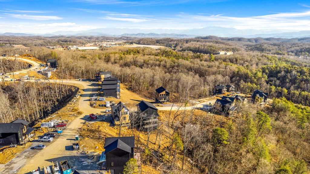 1171 Reedmont Way