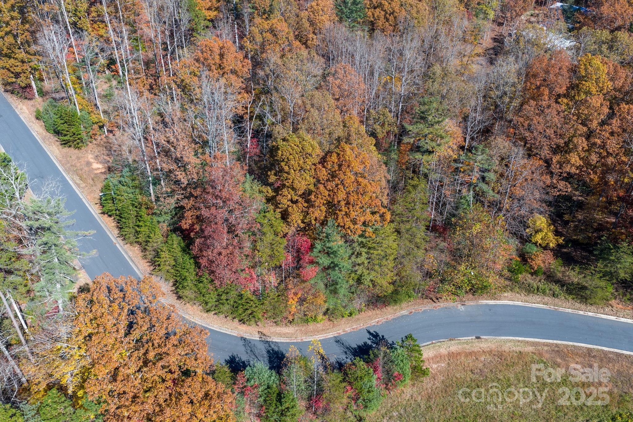 0000 Prince William Drive