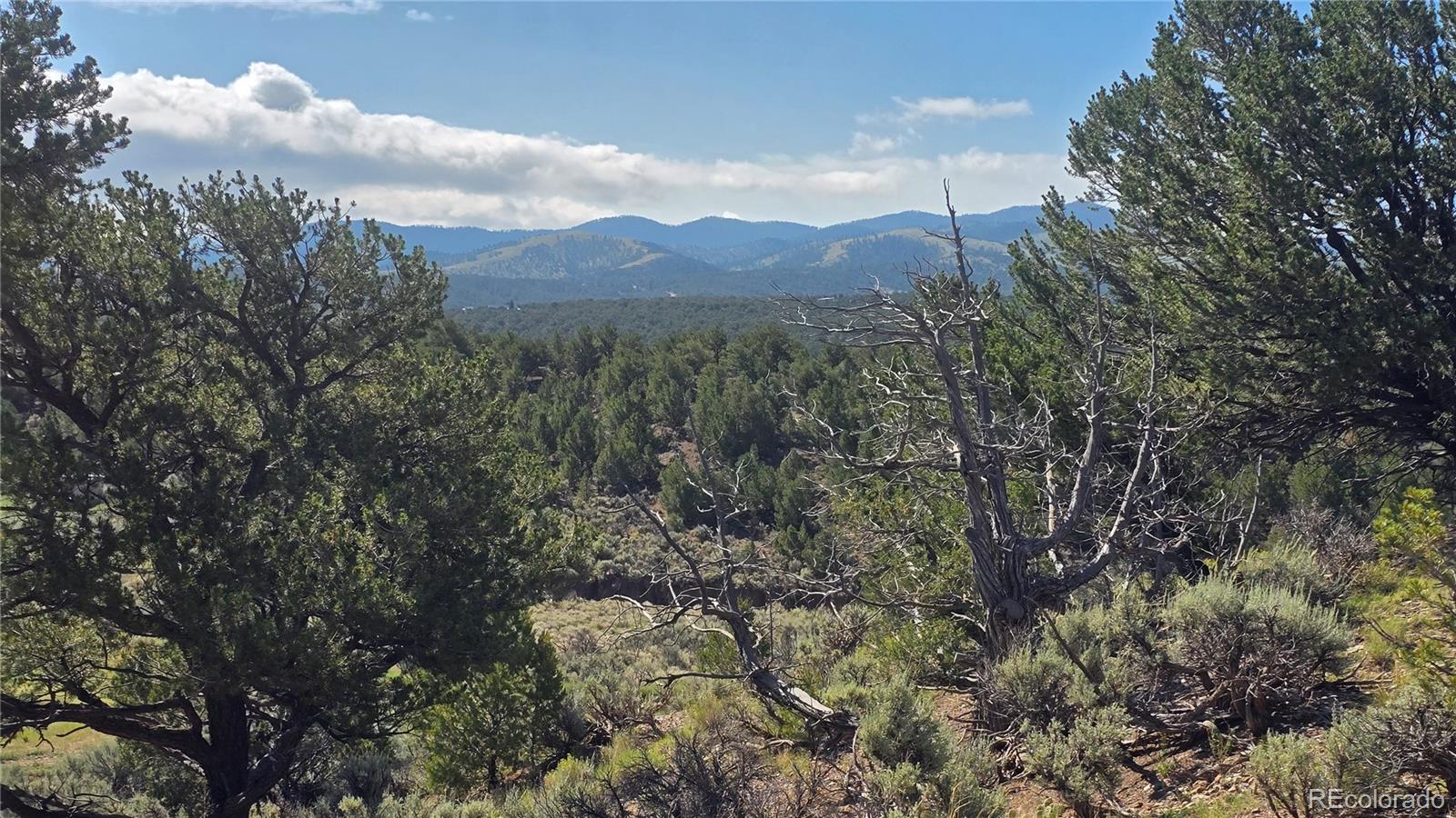 Lot 4296 Renfield Road