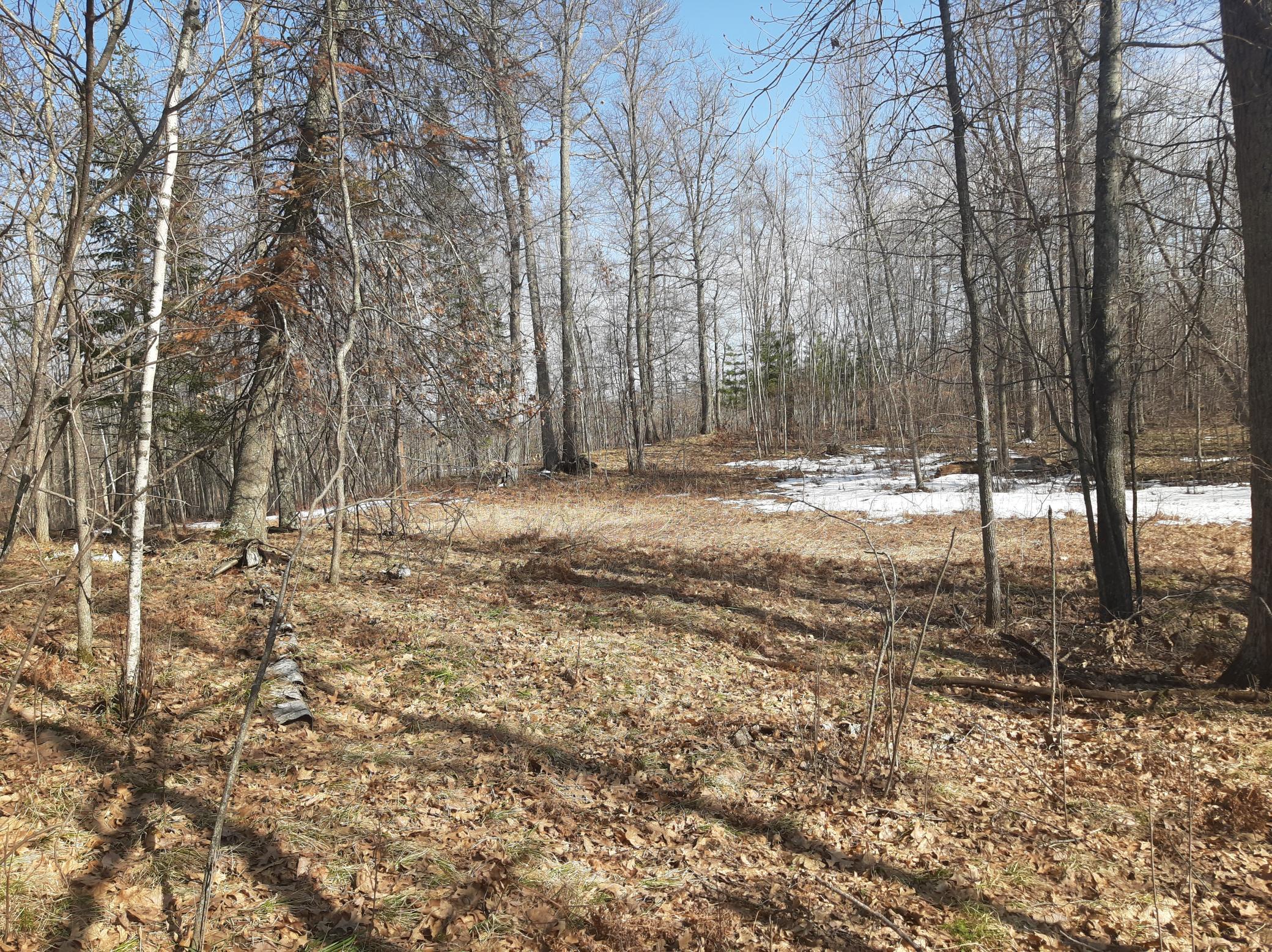 TBD Washburn Bay Trail NE
