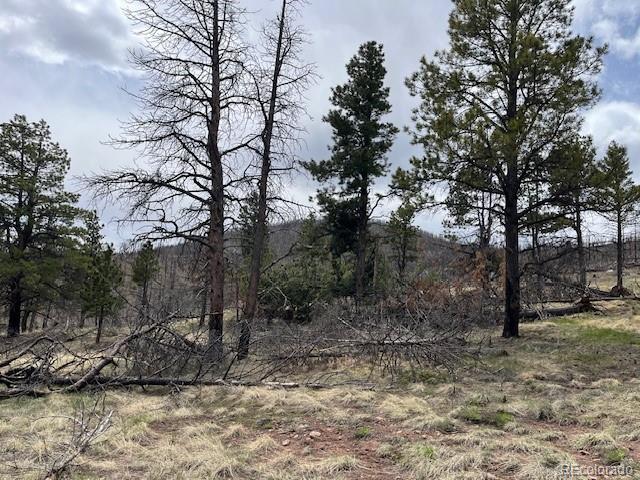 Lot 291 Dany Place
