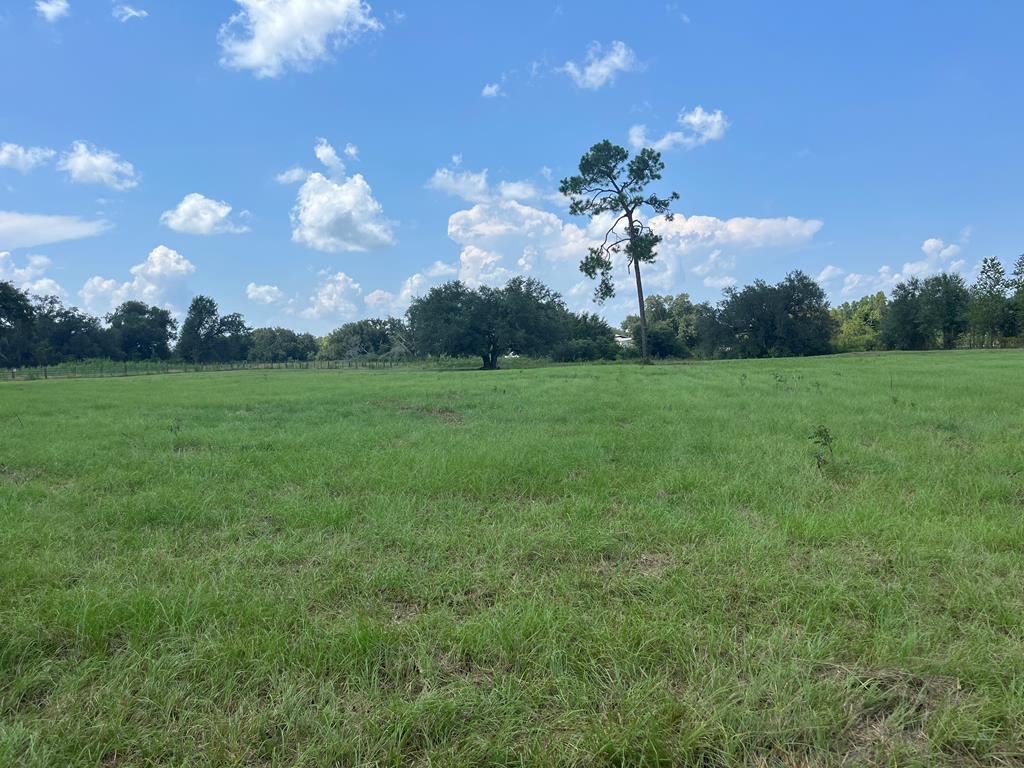 OWNER FINANCING AVAILABLE FOR QUALIFIED BUYERS!!  HUGE PRICE IMPROVEMENT!!!  THIS IS AN INVESTORS DREAM!!! 6 acres cleared and ready to build!  Inside the city limits from Bainbridge makes it convenient on a high traffic road, for whatever you want to build.  This is a great community with room for expansion and supported by the local leadership and people! There is much need here with new housing developments beginning nearby. If you are an investor, you should take a close look at what this thriving and friendly town can offer!!