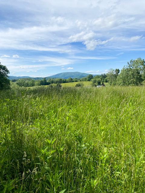 GREAT LOCATION and AWESOME VIEWS from this mostly open tract with minimal restrictions. Conveniently located between the town of Sparta and the town of Independence.