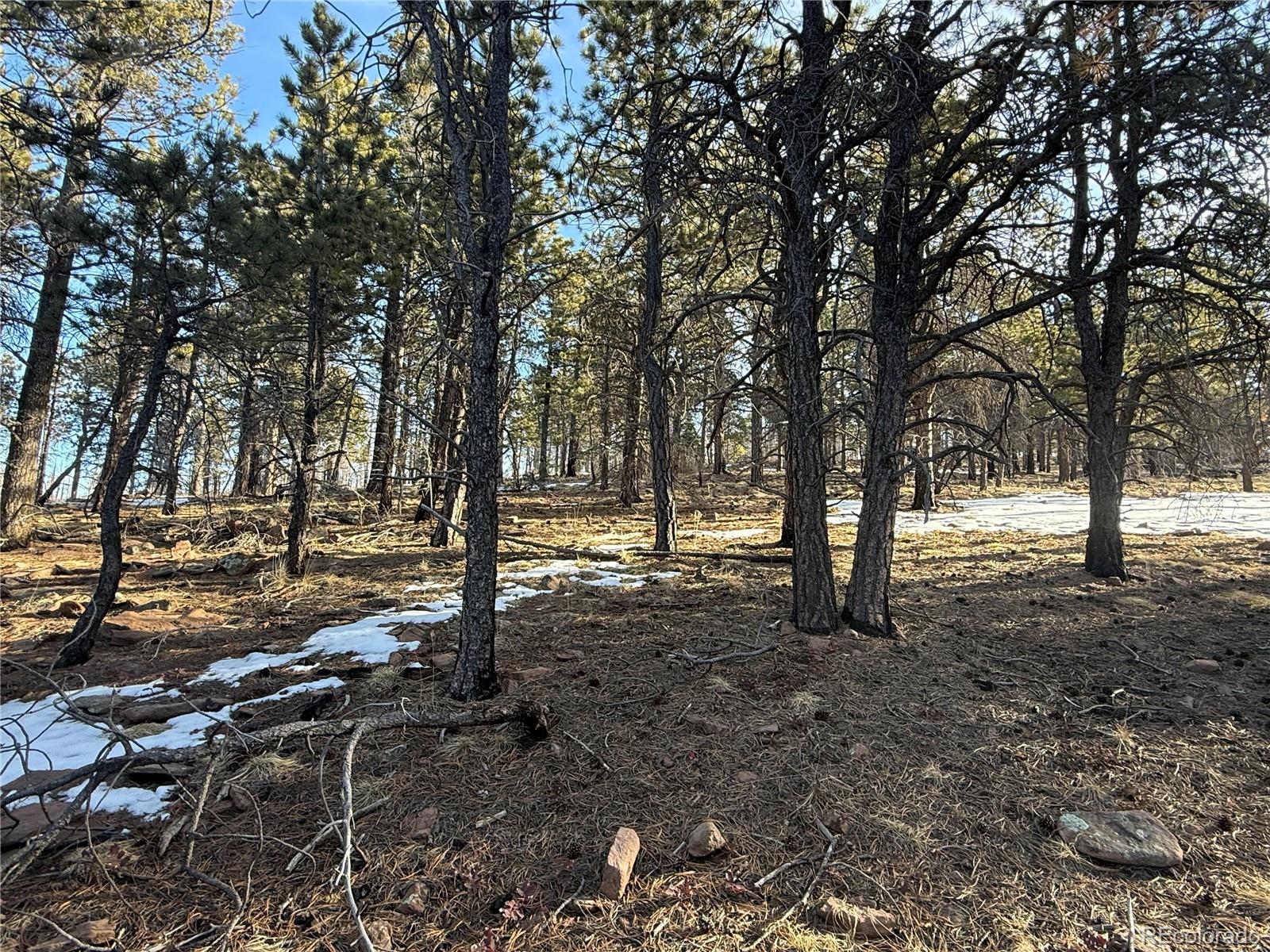 Lot 356 Spangle Drive