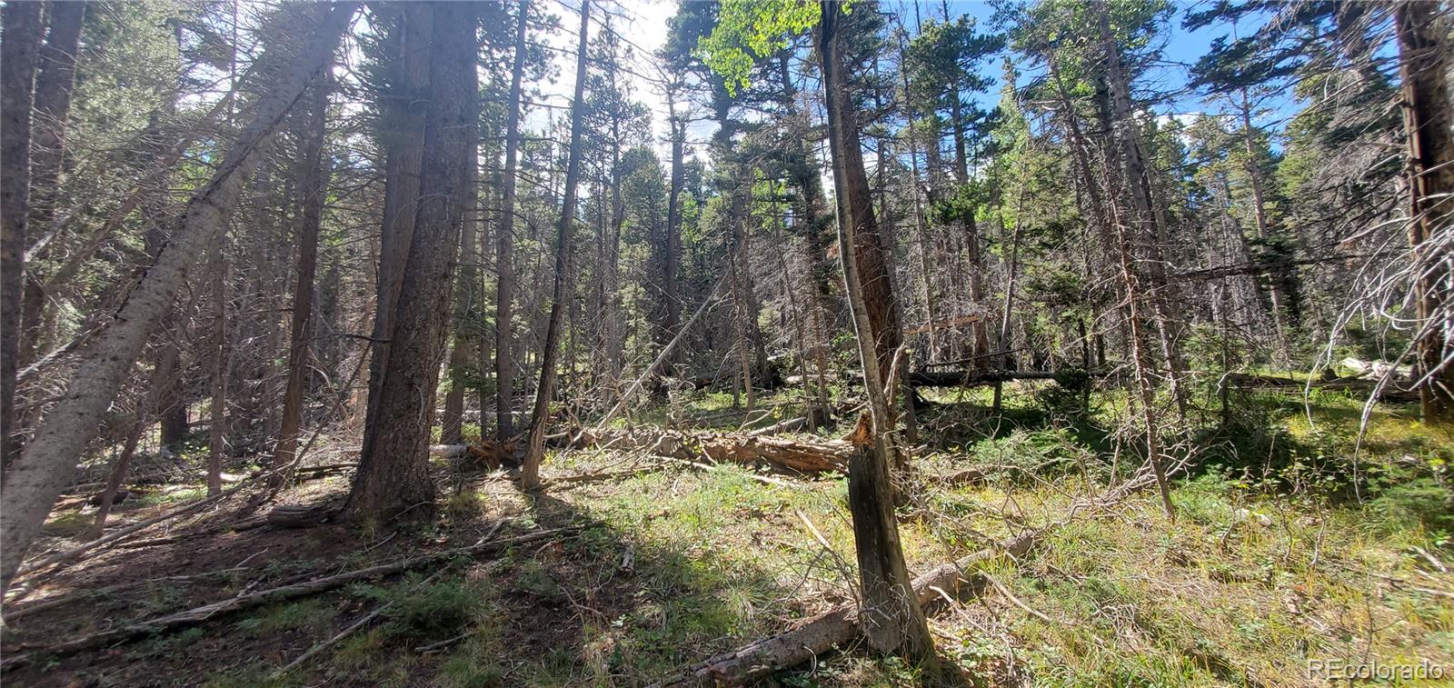 Lot 3427 Grojean Drive