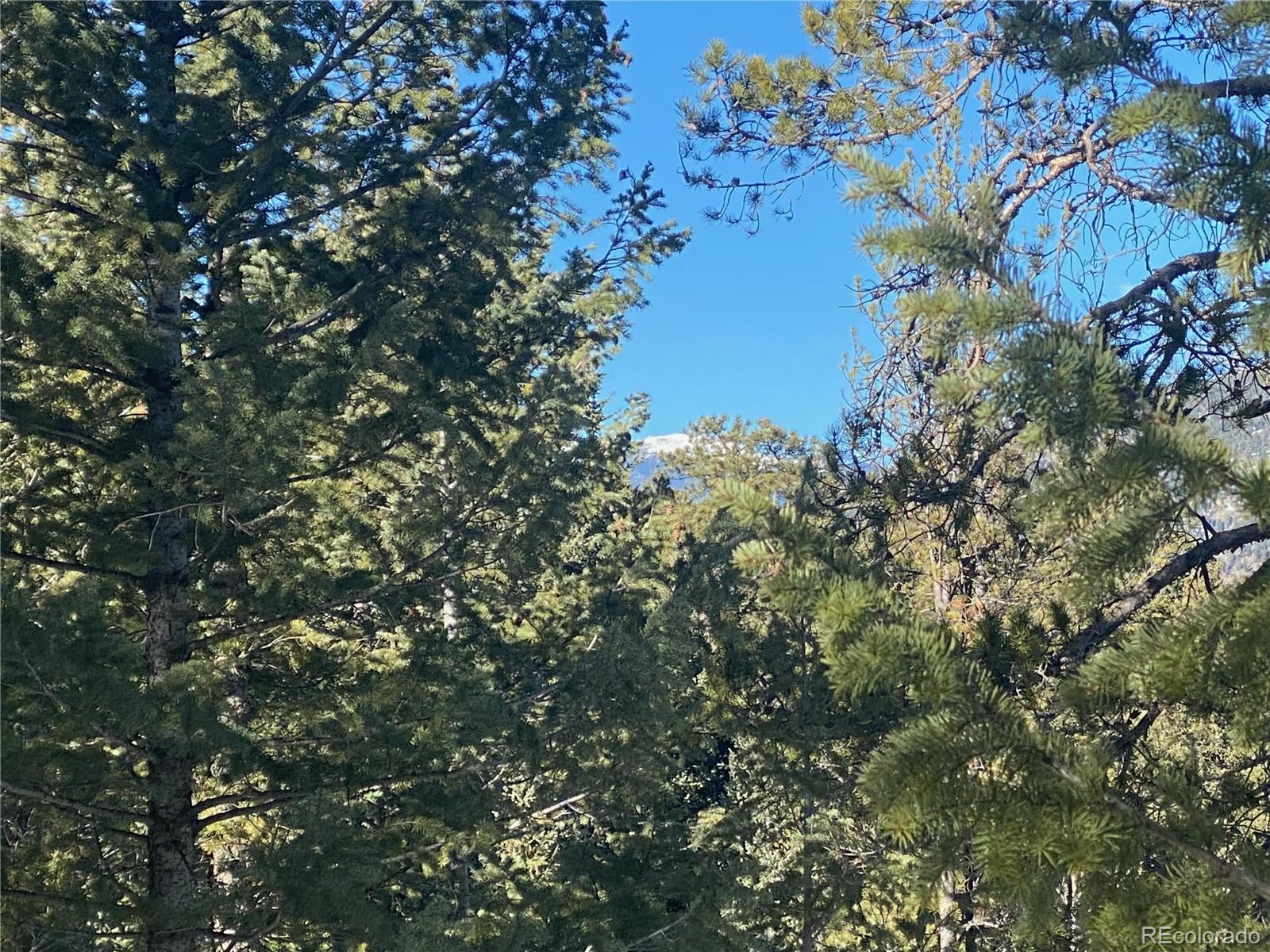 33884 Bergen View Trail