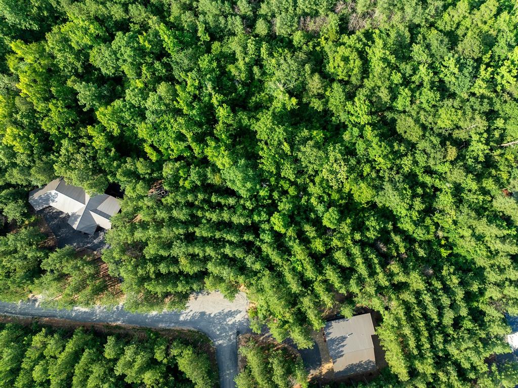 66 Aged Acacia Trail