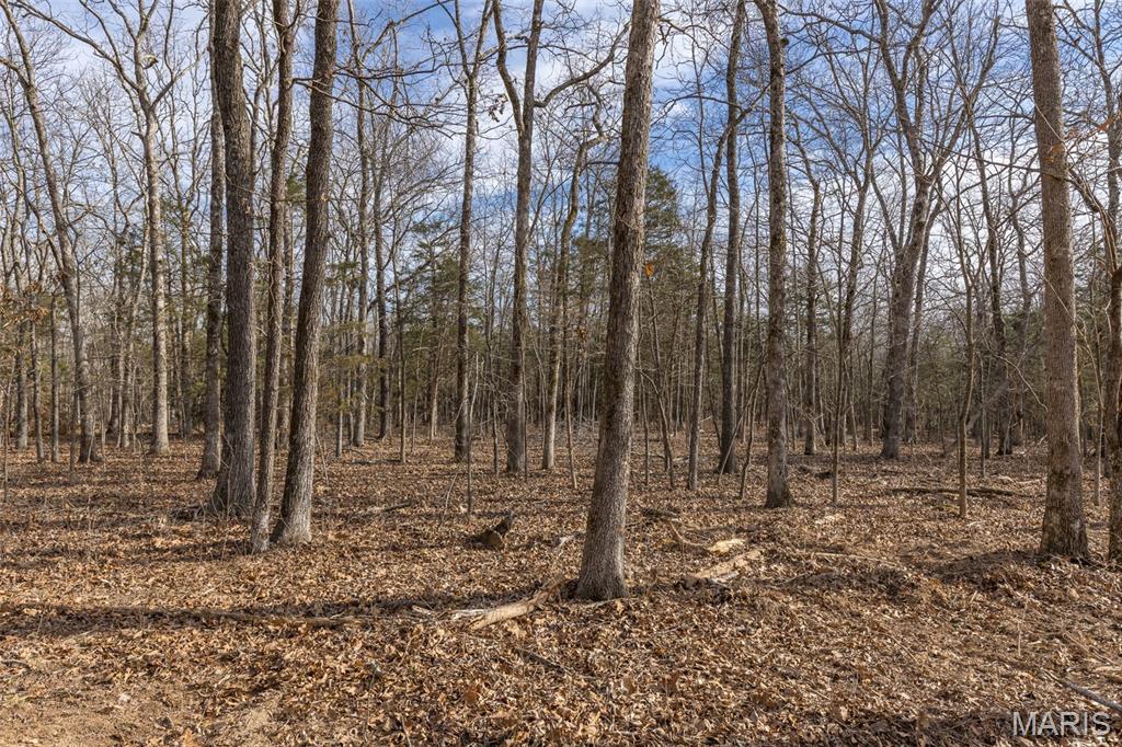 12.5+/- Acres On Effin Road