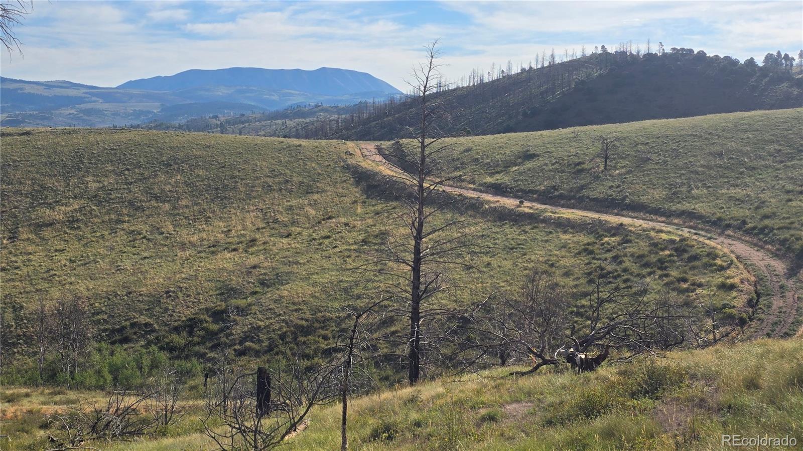 Lot 7719 Hallstein Road