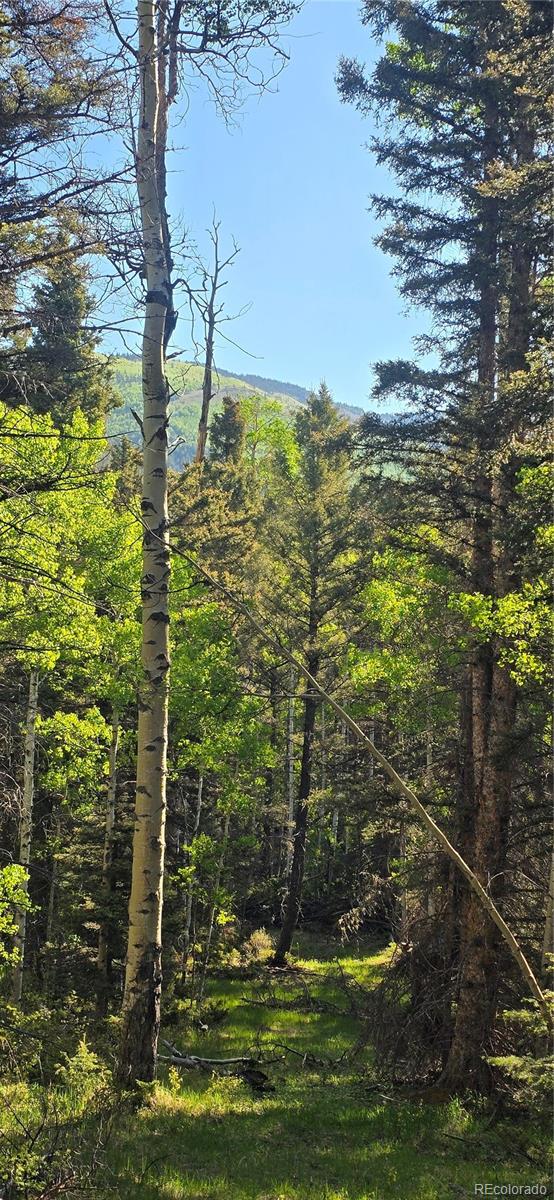 Lot 6385 Jaquez Road