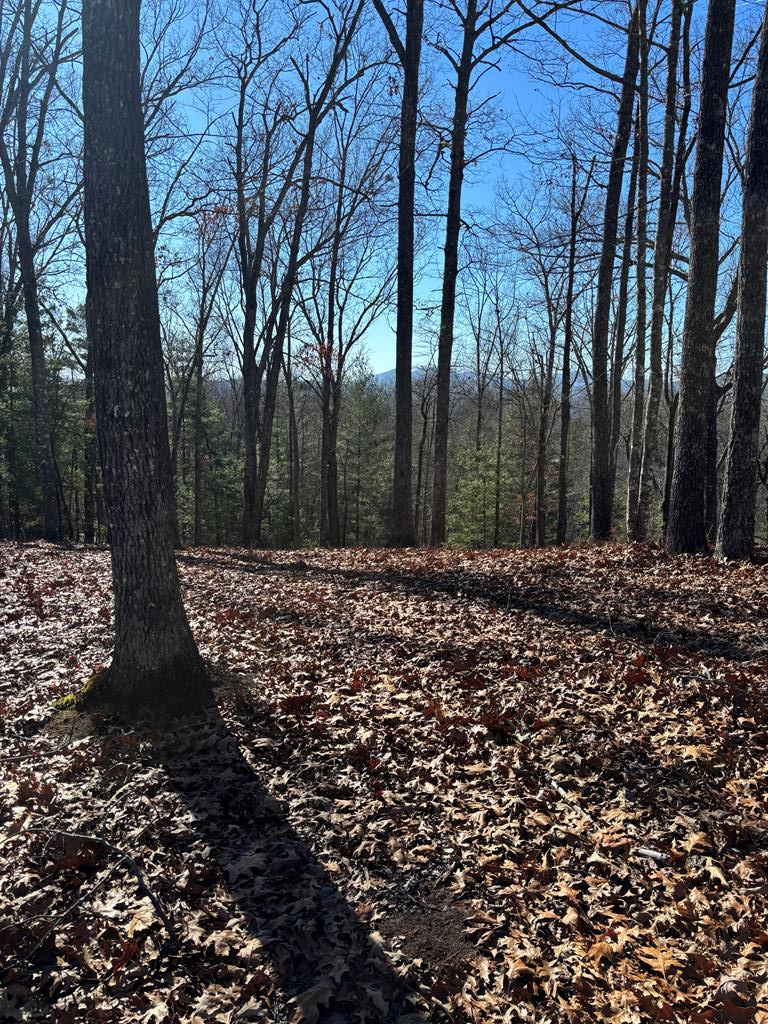 Murphy NC – 1.61+/- Acres Vacant Land For Sale – Borders USFS Land! Build Your Dream Home on this beautiful Flat knoll with  Long Range Mountain Views, Located in a private setting in Majestic Mountain, this beautiful mountain property offers Exceptional long-range views overlooking US Forest Service.  If you're looking for peace, privacy, and access to outdoor recreation, this land checks all the boxes! Enjoy direct access to thousands of acres of U.S. Forest Service land right from your back yard—perfect for hiking, nature watching, or exploring. High-speed fiber optic internet is available, and electric utilities are nearby for easy connection, making this an ideal spot for your mountain getaway, cabin, or full-time home. Just about 10 miles from Downtown Murphy, you're close to shopping, restaurants, medical facilities, and entertainment, yet you'll feel a world away in this serene mountain retreat. Love to fish or boat? You're only minutes to the year-round Hanging Dog Boat Ramp giving you easy access to beautiful Lake Hiwassee, known for its excellent fishing, boating, and scenic beauty. Whether you're looking to build now or invest in land for the future, this parcel is a rare find — Don't miss this incredible opportunity — Seller asking $69,900.  Owner Financing Available - Make an offer today!