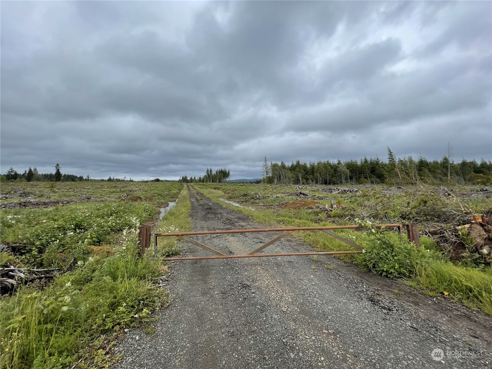Approximately 129 acres of level to gently rolling timberland with paved, county roads on three sides. Opportunity to build a large, private estate, not far from Chehalis and Onalaska. Power and phone in street. Well managed Douglas Fir stands from 15-21 years old.  Recently harvest 45 acres to be replanted by current owner. High Site Class 2 ground. Forestry zoning.  Mid to long term investment property with development potential.   Buyer to verify all information to own satisfaction.