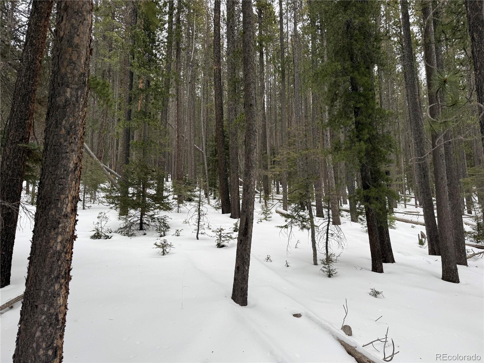 Lot 2805 Moir Drive