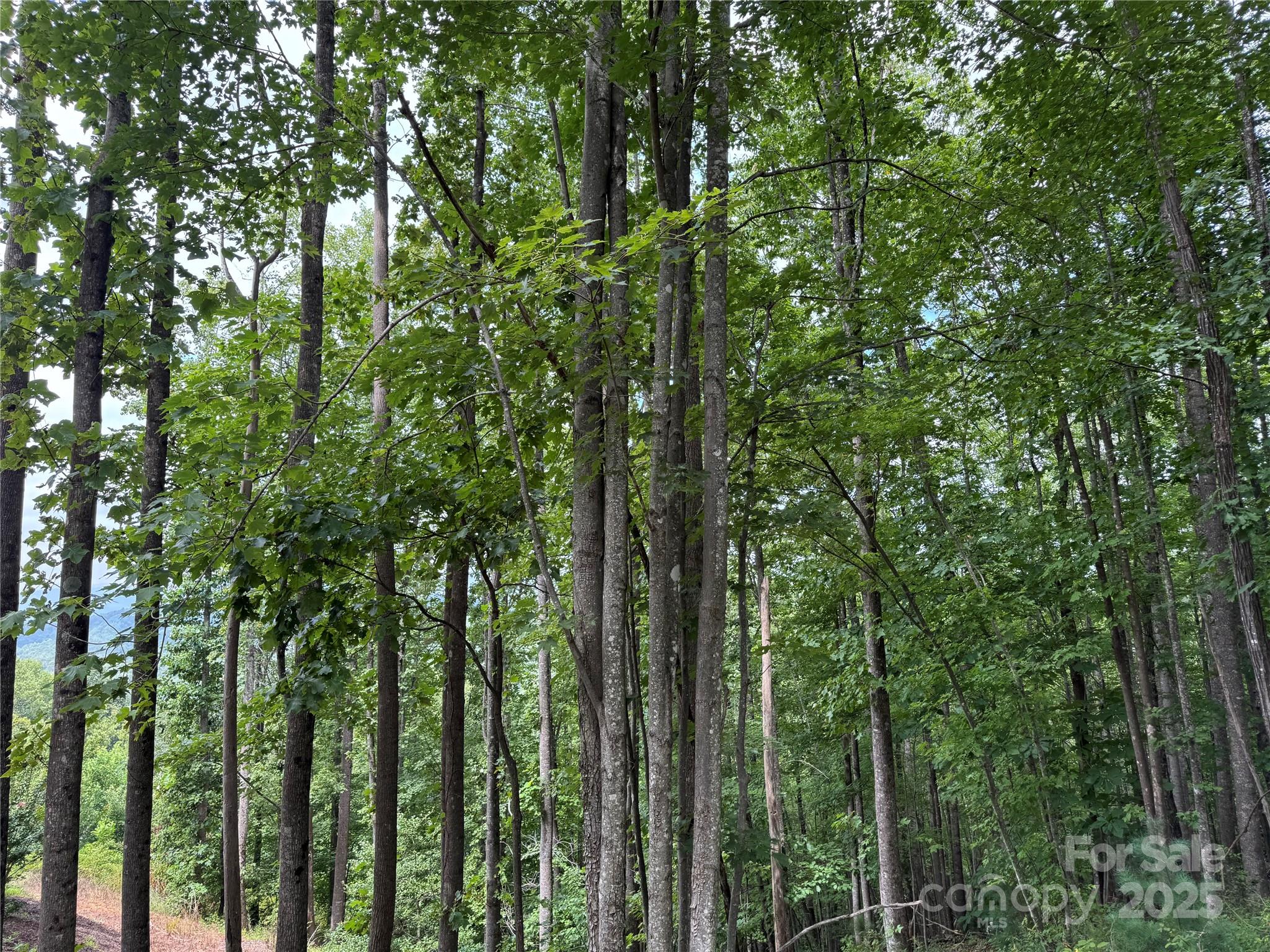 2.01 acres, Lot 971 Soaring Top Lane 971