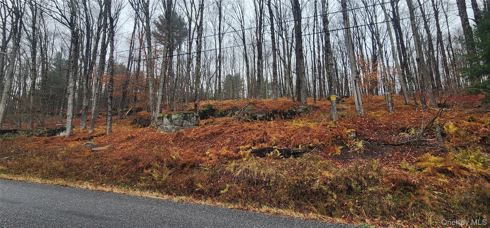 Thompson Road