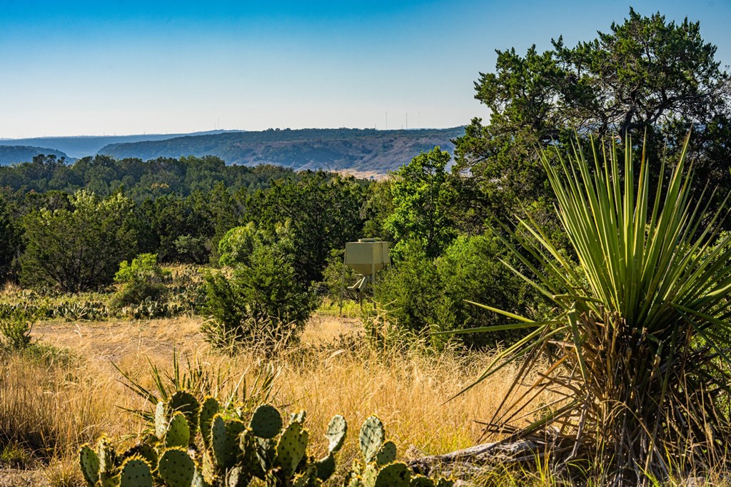 29 NE Big Draw Drive