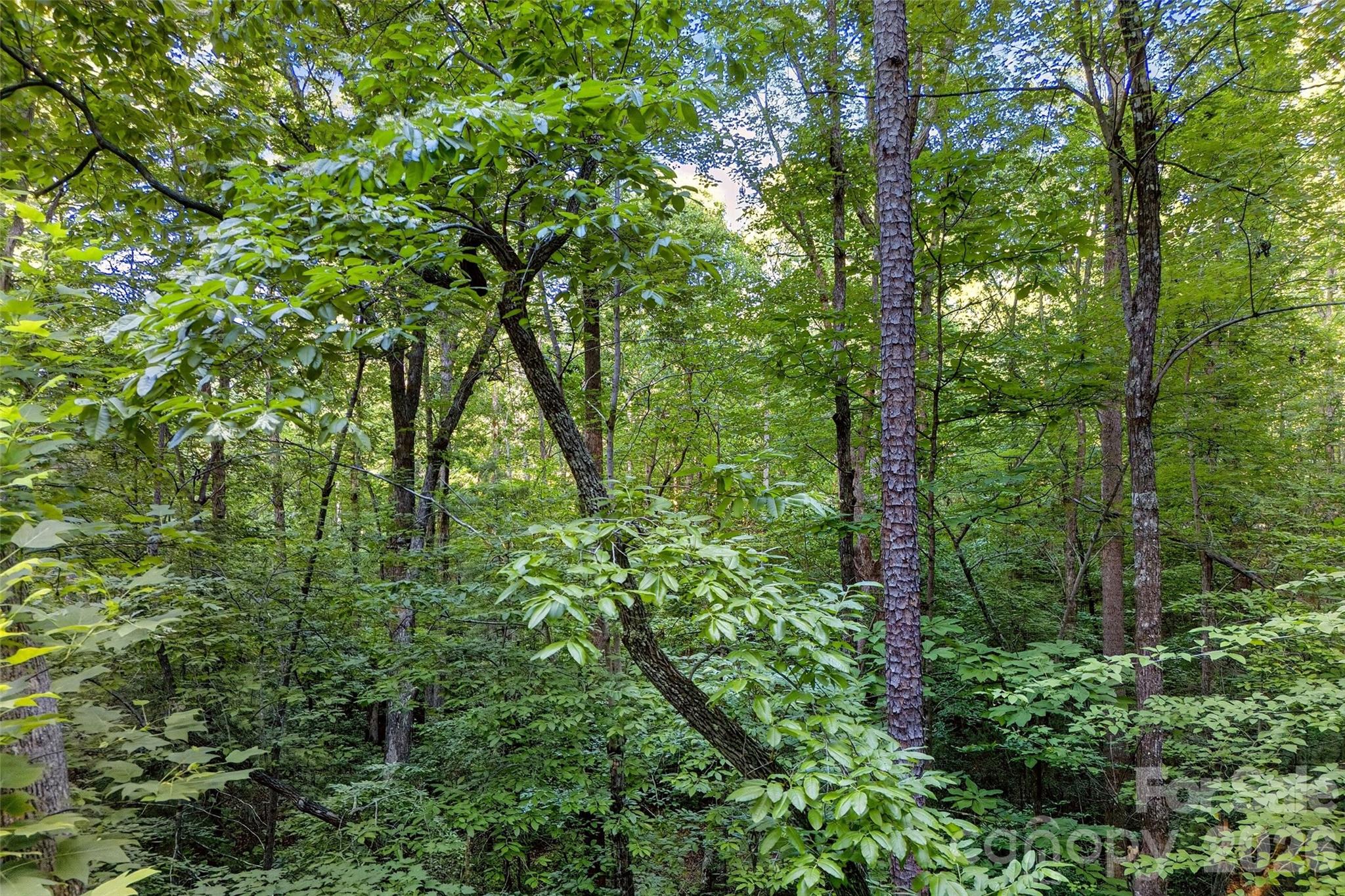 00 Yancey Road