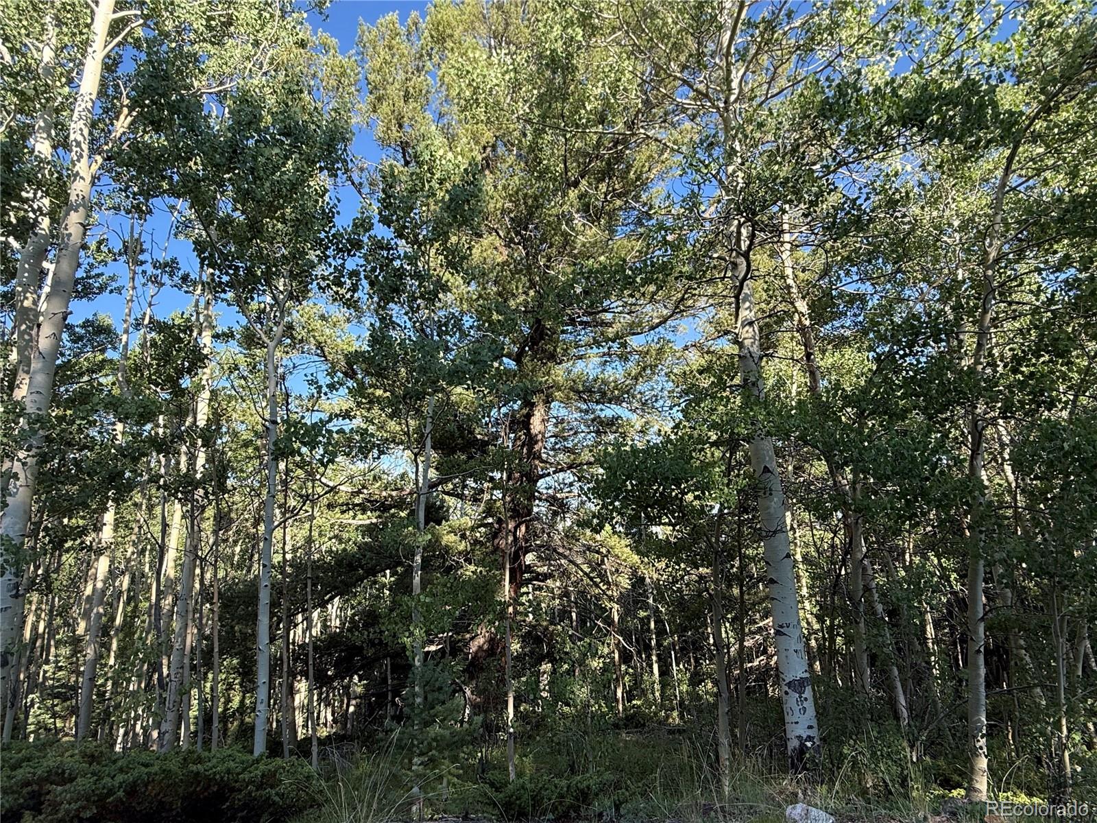 Lot 5331 Hull Road