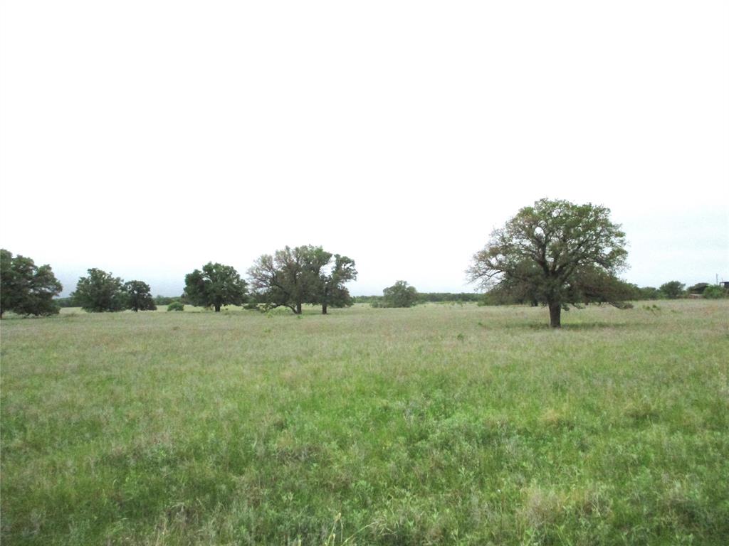 Are you ready for some peace and quiet and stars at night? These beautiful tracts of land in the middle of big ranch country are the perfect place to raise the kids and cows with plenty of elbow room to roam. NO HOA, NO city taxes, just some great views of the Texas countryside with minimal restrictions.Property under ag for low taxes. Open areas with scattered Mature oak trees make for a beautiful setting for that new home Co-op electric up front and water wells in area good. Several tracts to choose from so better hurry! Mature trees with meandering creek that could make a great pond!