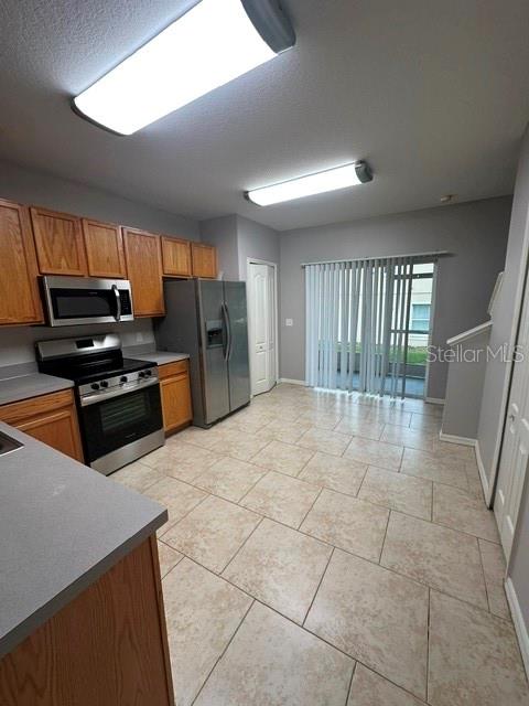 15723 Fishhawk Falls Drive