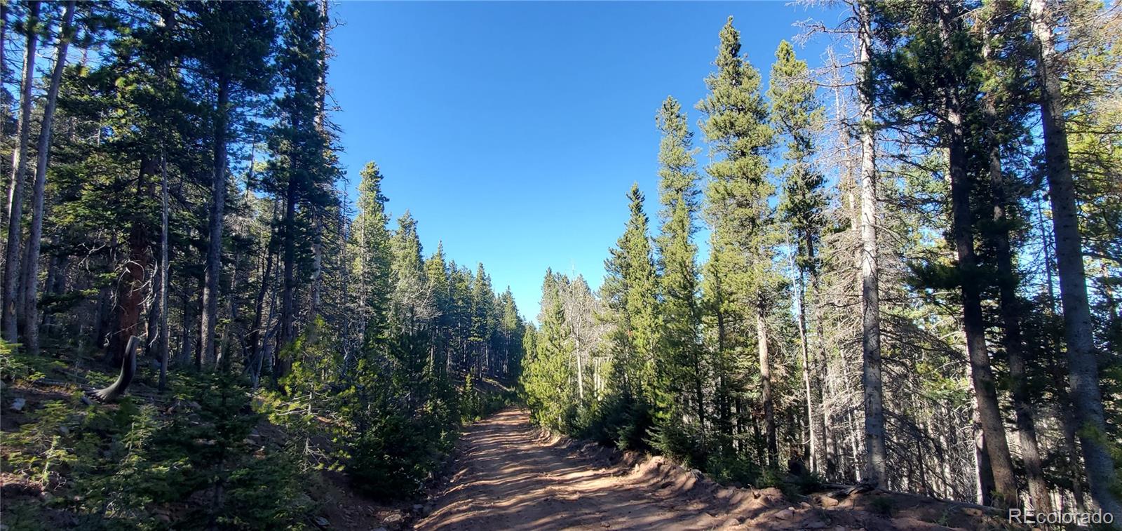 Lot 2999 & 2998 Drexler Place