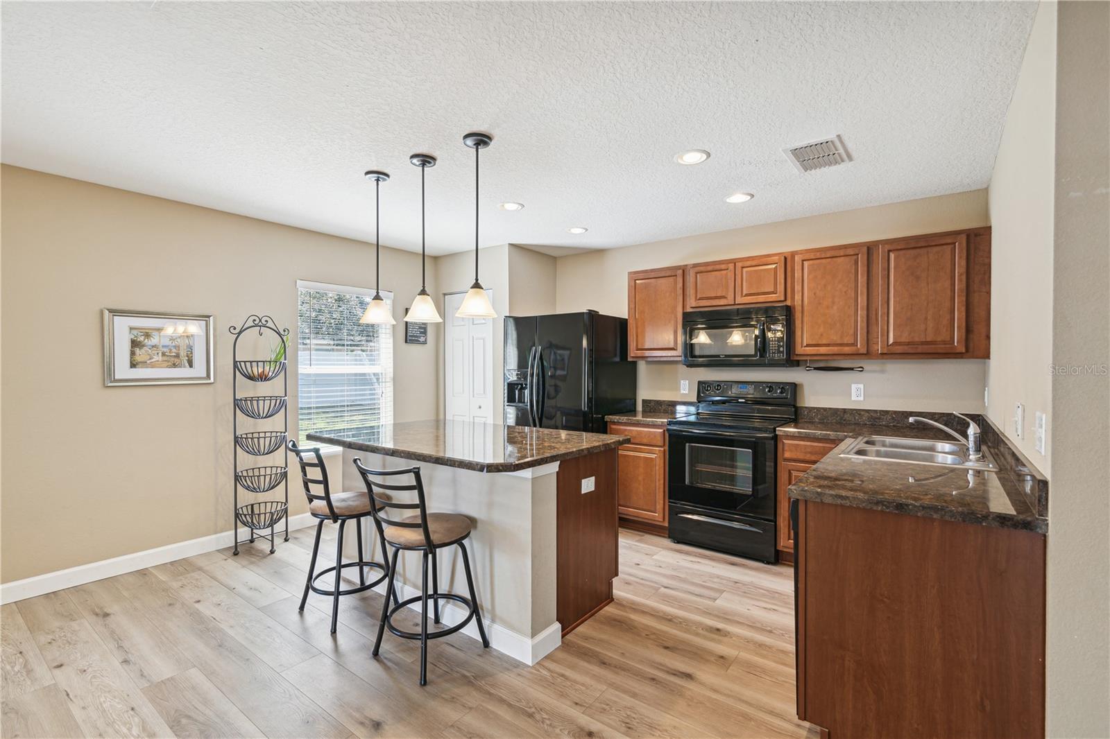 11133 Goldenrod Fern Drive
