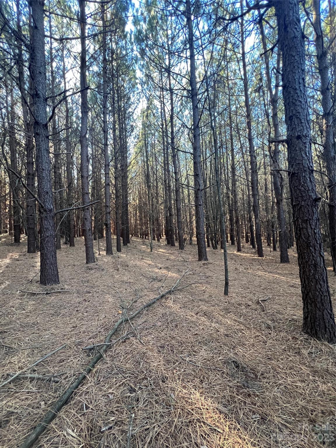 678 Turnersburg Highway