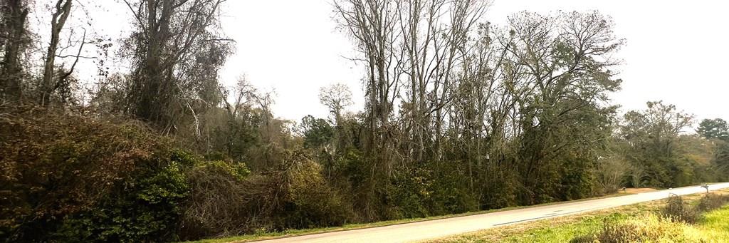 7.10 Acres – Brooks County (Less than 1 mile from Thomas County Line) Highly Sought after small acreage on a paved countryside scenic road, with GA Power Electric available onsite AND City of Pavo water!  Looking for land in a peaceful country setting with conveniences of utilities & water available, but still close to town? This 7.10-acre wooded tract is located on a paved & scenic countryside road.  This acreage is only 15 minutes from Thomasville & less than 1 MILE from the Thomas County line, just inside the edge of Brooks County.  Need land with Paved Road frontage, Georgia Power access & convenience of City water available on site? HURRY! These opportunities are RARE!  Beautiful, wooded setting. Great homesite potential & Perfect spot to build your dream home, place a manufactured home (verify local guidelines), or hold as an investment. This scenic countryside road acreage is paved & ready to welcome you HOME!