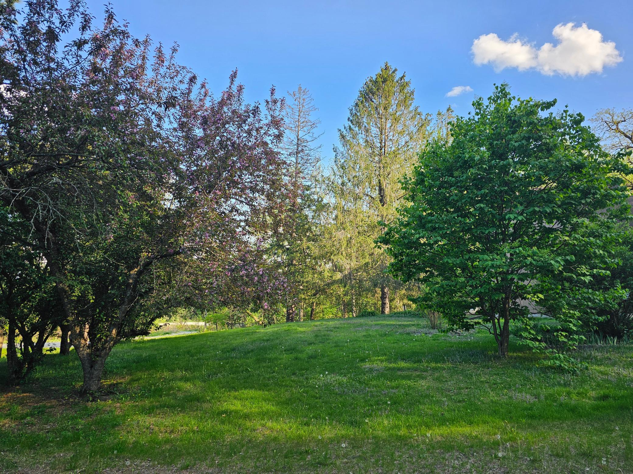 146 Green Spring Road