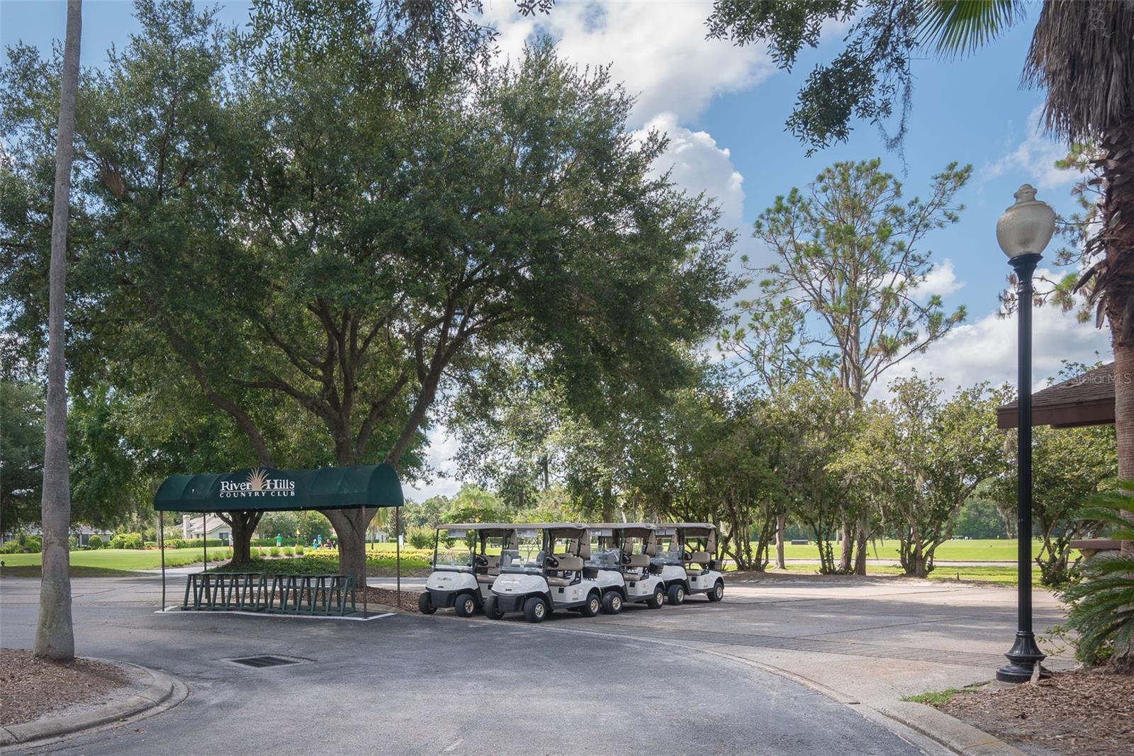 3506 Cordgrass Dr