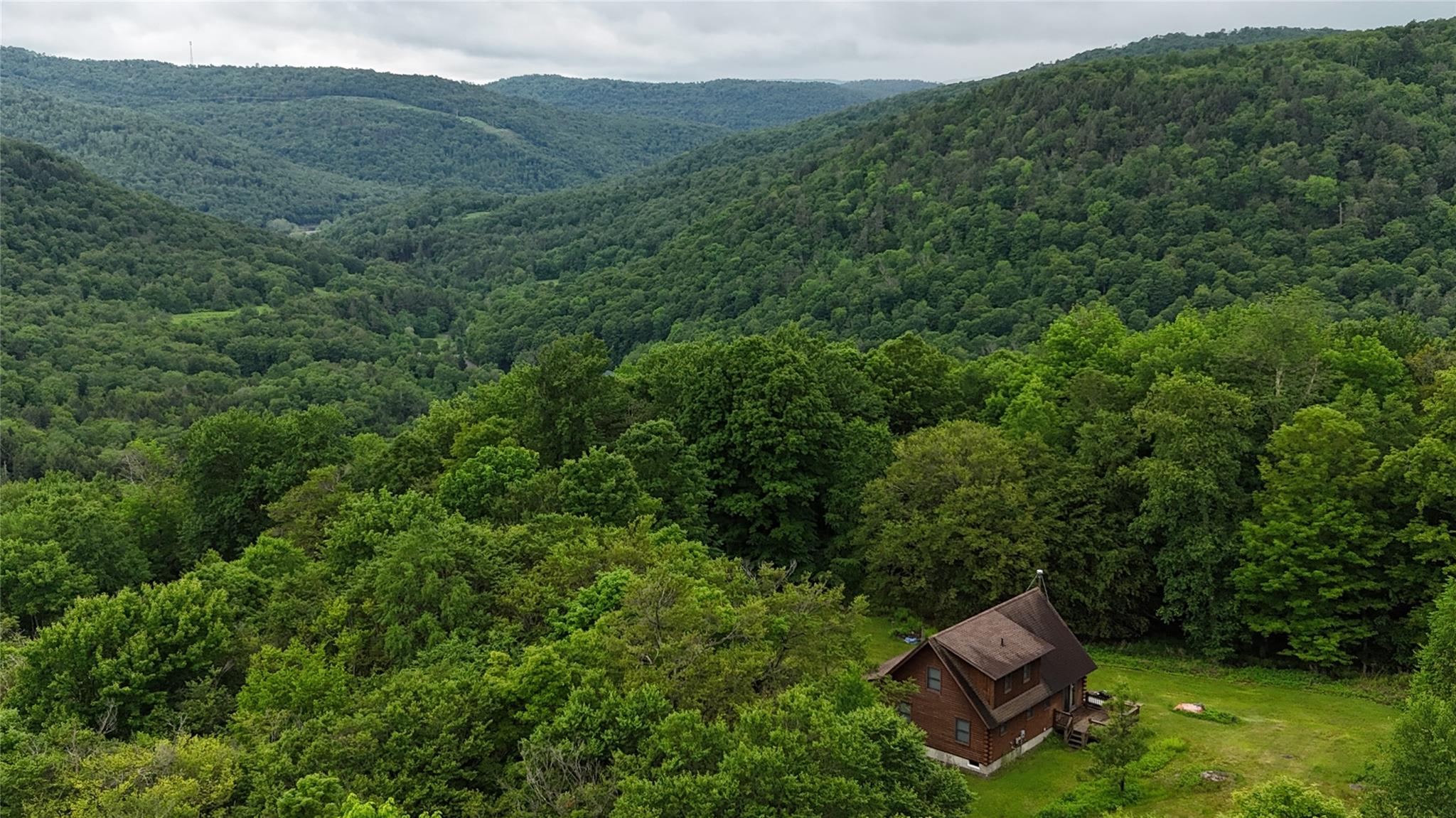 View of mountain backdrop with a forest