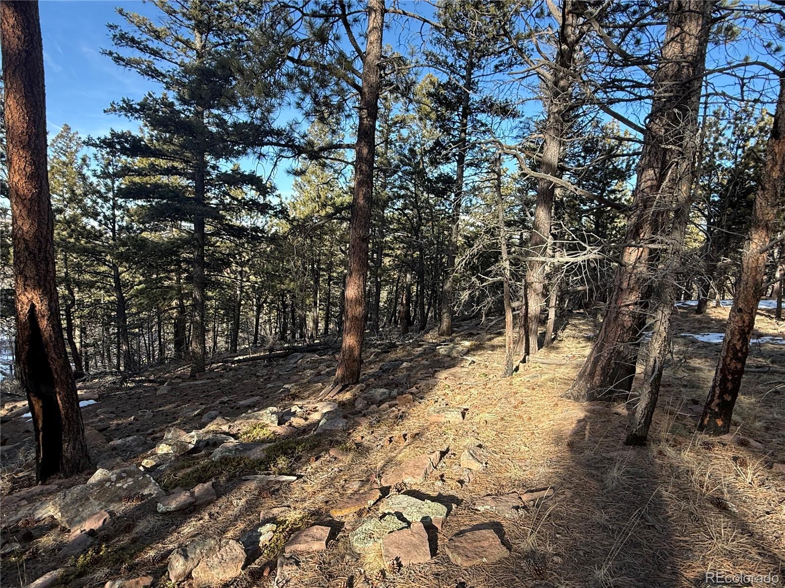 Lot 356 Spangle Drive